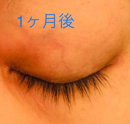 EMAKED(エマーキット)/水橋保寿堂製薬/まつげ美容液を使ったクチコミ(3枚目)