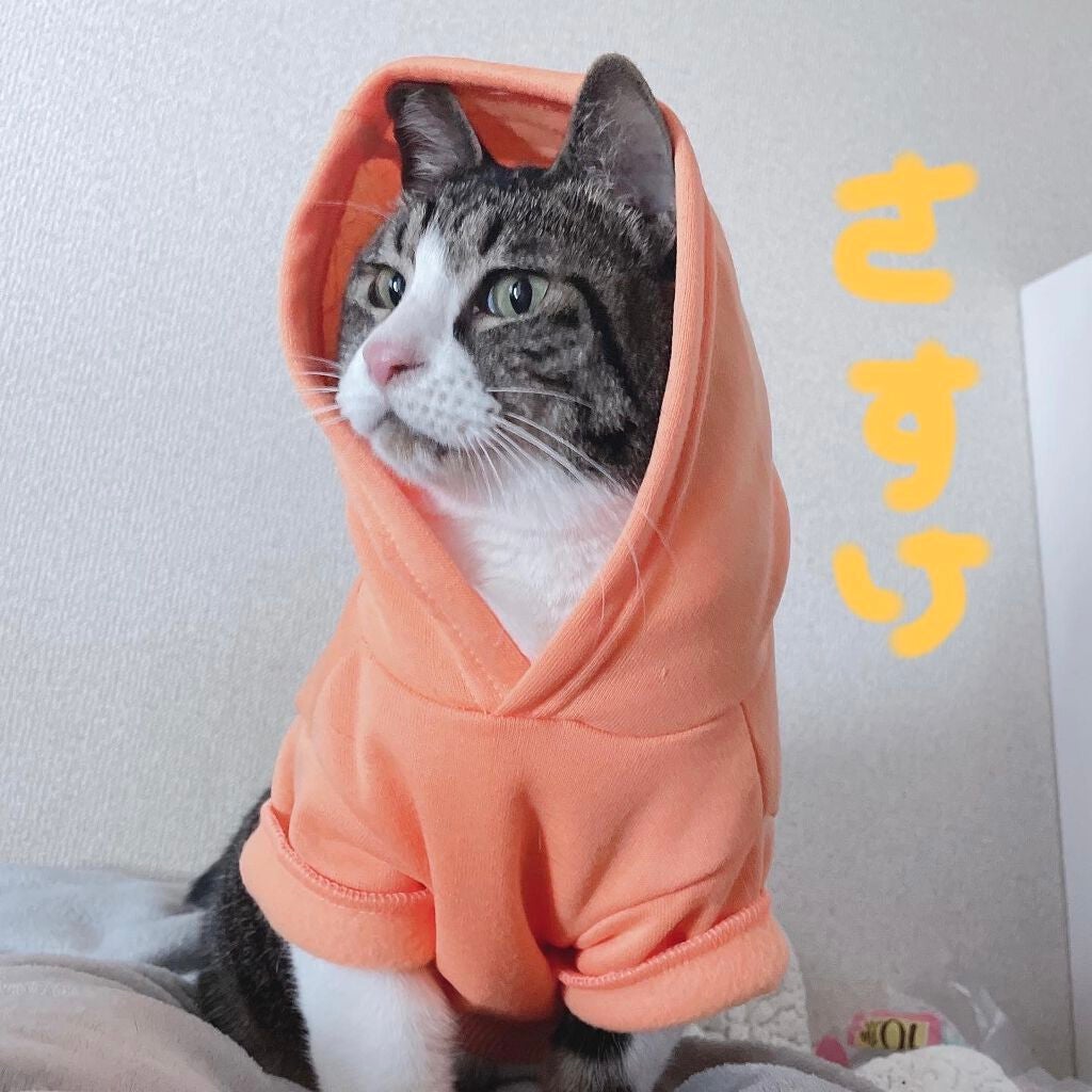 エッセンシャル スキン ヌーダー クッション/JUNG SAEM MOOL/クッションファンデーションを使ったクチコミ(3枚目)