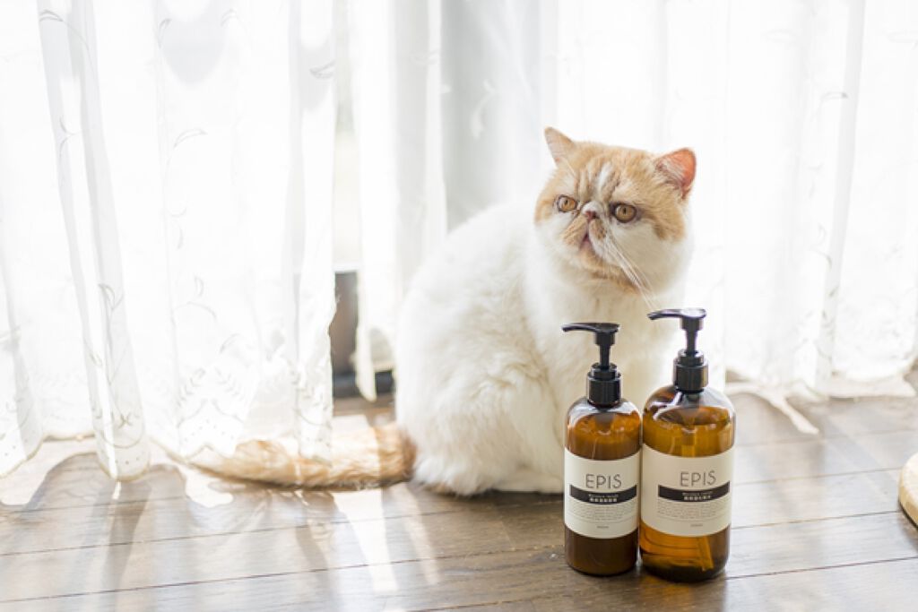 EPIS モイスチュアローション/EPIS/化粧水を使ったクチコミ（1枚目）