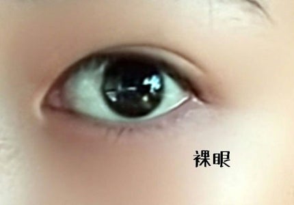 エバーカラーワンデー ルクアージュ/エバーカラー/ワンデー(1DAY)カラコンを使ったクチコミ(2枚目)