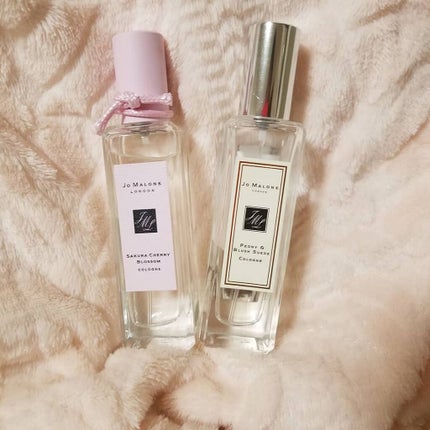 サクラチェリーブロッサムコロン/Jo MALONE LONDON/香水(レディース)を使ったクチコミ(1枚目)
