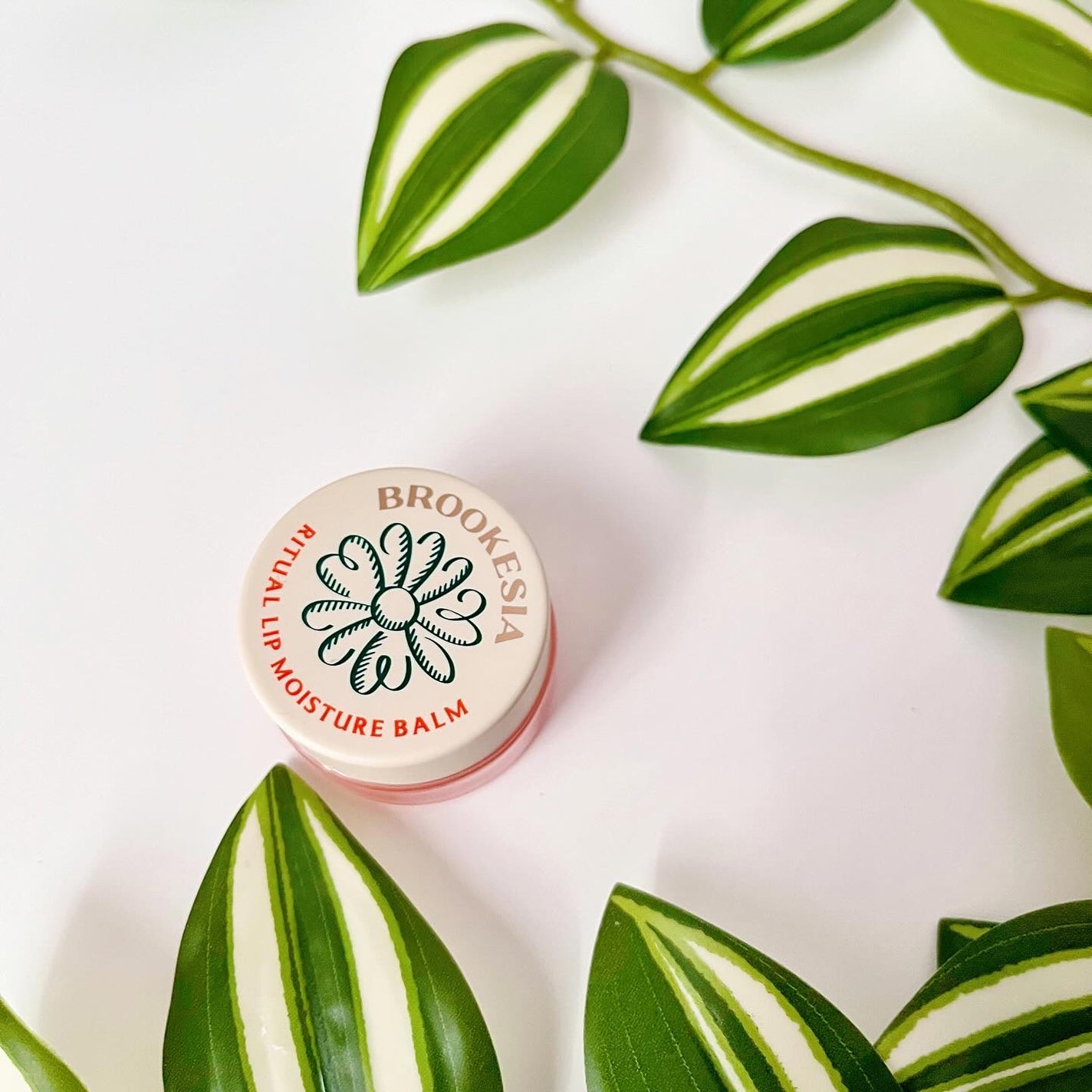 リチュアルリップモイスチャーバーム/BROOKESIA/フェイスバームを使ったクチコミ(5枚目)