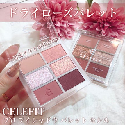 プロアイシャドウパレットセシル/CELEFIT/アイシャドウパレットを使ったクチコミ(1枚目)