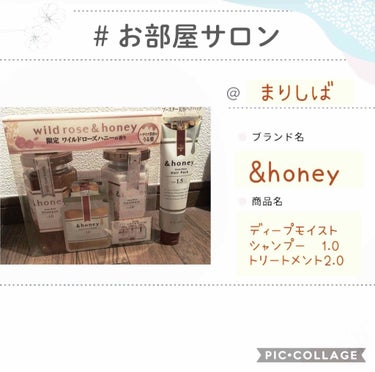 ディープモイスト シャンプー1.0／ヘアトリートメント2.0/&honey/シャンプー・コンディショナーを使ったクチコミ（1枚目）