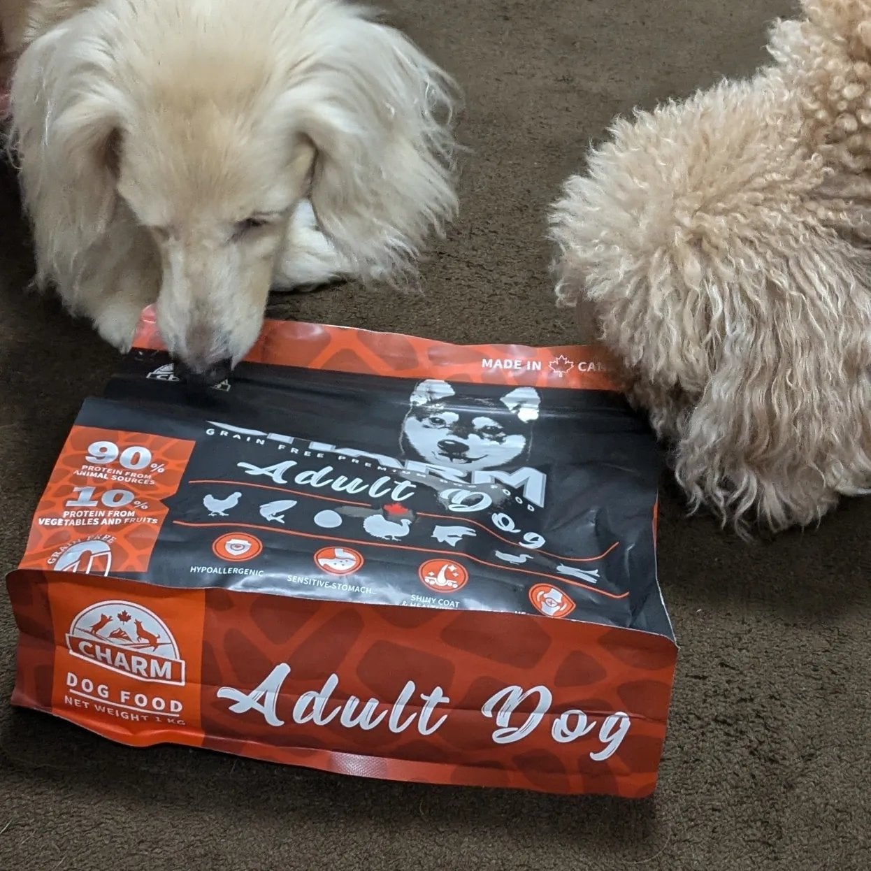 真紅 on LIPS 「CHARMAdultDogをお試しさせて頂きました。『商品説明..」(6枚目)