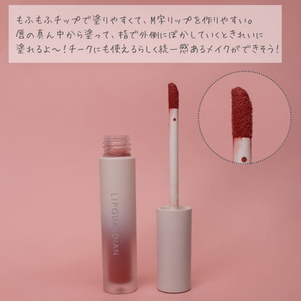 マットヴェールティント/LIPGUARDIAN/リップティントを使ったクチコミ(5枚目)