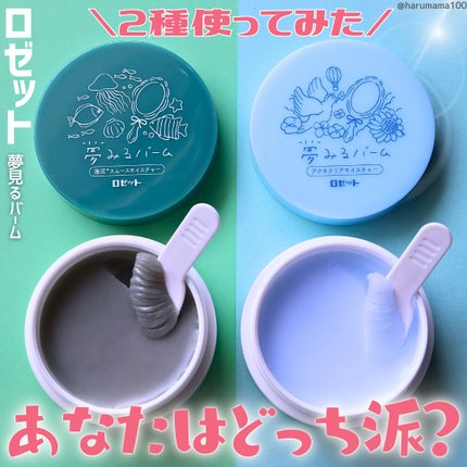 夢みるバーム 海泥スムースモイスチャー/ロゼット/クレンジングバームを使ったクチコミ(1枚目)