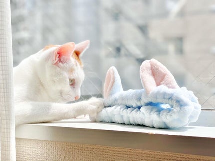 ネコ耳ヘアターバン/sugar.C beauty/ヘアアクセサリーを使ったクチコミ(3枚目)