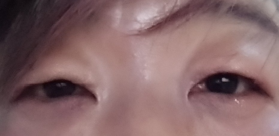 3色マロンアイシャドウパレット/LEEMEMBER/アイシャドウパレットを使ったクチコミ（2枚目）