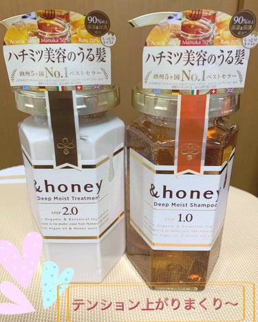 ディープモイスト シャンプー1.0／ヘアトリートメント2.0/&honey/シャンプー・コンディショナーを使ったクチコミ（1枚目）