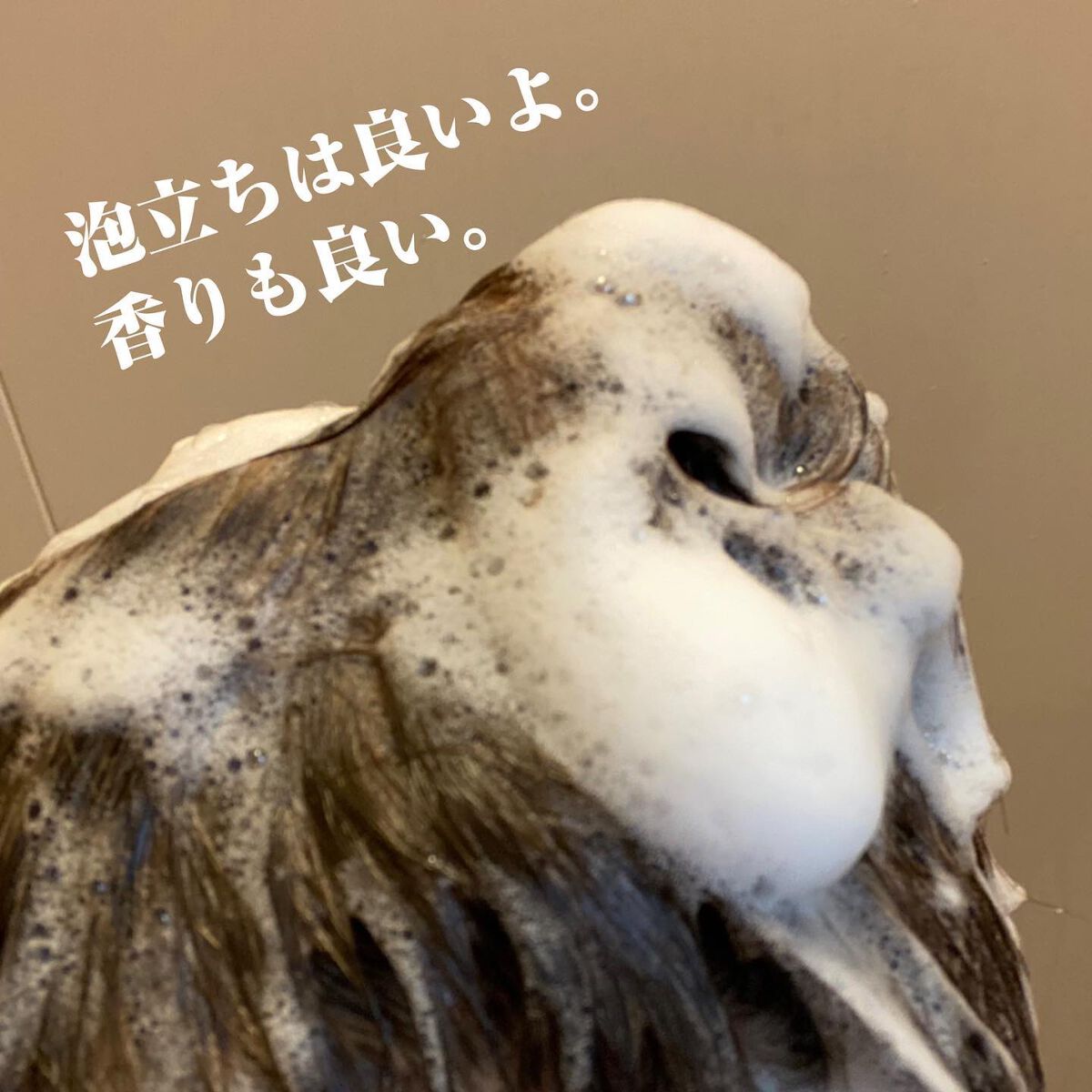 プルント コントロール美容液シャンプー/トリートメント/Purunt./市販シャンプーを使ったクチコミ（3枚目）