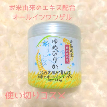 ABL お米のオールインワンゲル ゆめぴりかのクチコミ「◇お米のオールインワンゲル

元値5,800
ドンキで¥500！

ゆめぴりかのフェイスマスク.....」（1枚目）