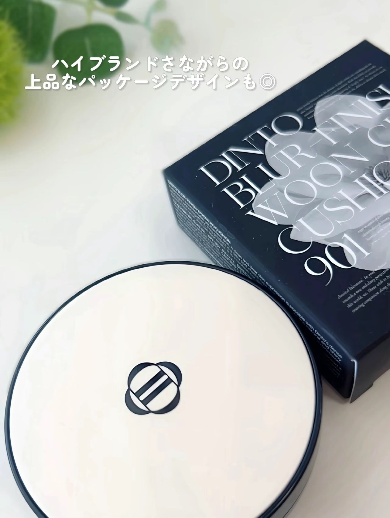 ブラーフィニッシュ雲楚クッション/Dinto/クッションファンデーションを使ったクチコミ(5枚目)