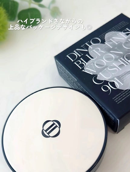 ブラーフィニッシュ雲楚クッション/Dinto/クッションファンデーションを使ったクチコミ(5枚目)