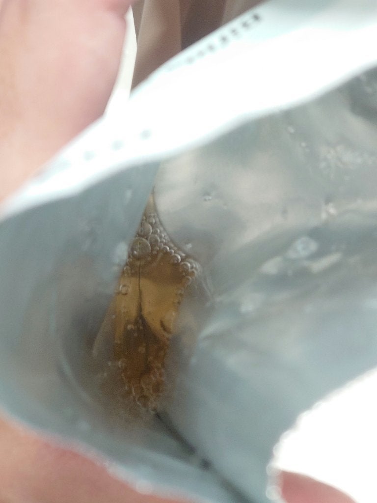 ビフィダバイオームセラムマスク/manyo/シートマスク・パックを使ったクチコミ(3枚目)