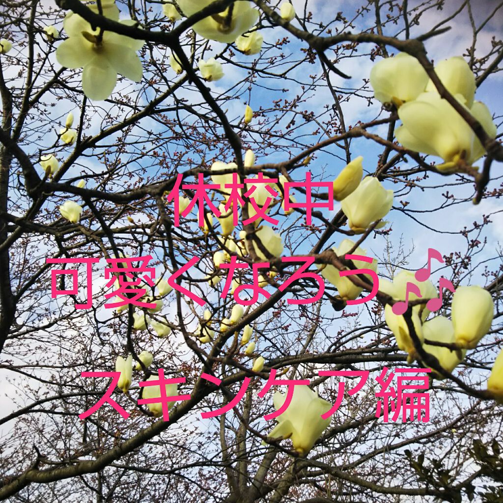 ハトムギ化粧水(ナチュリエ スキンコンディショナー R )/ナチュリエ/化粧水を使ったクチコミ（1枚目）