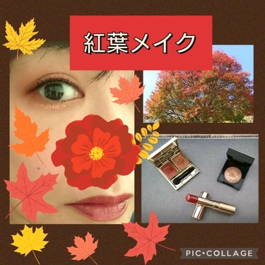 オペラ リップティント N/OPERA/口紅を使ったクチコミ（1枚目）