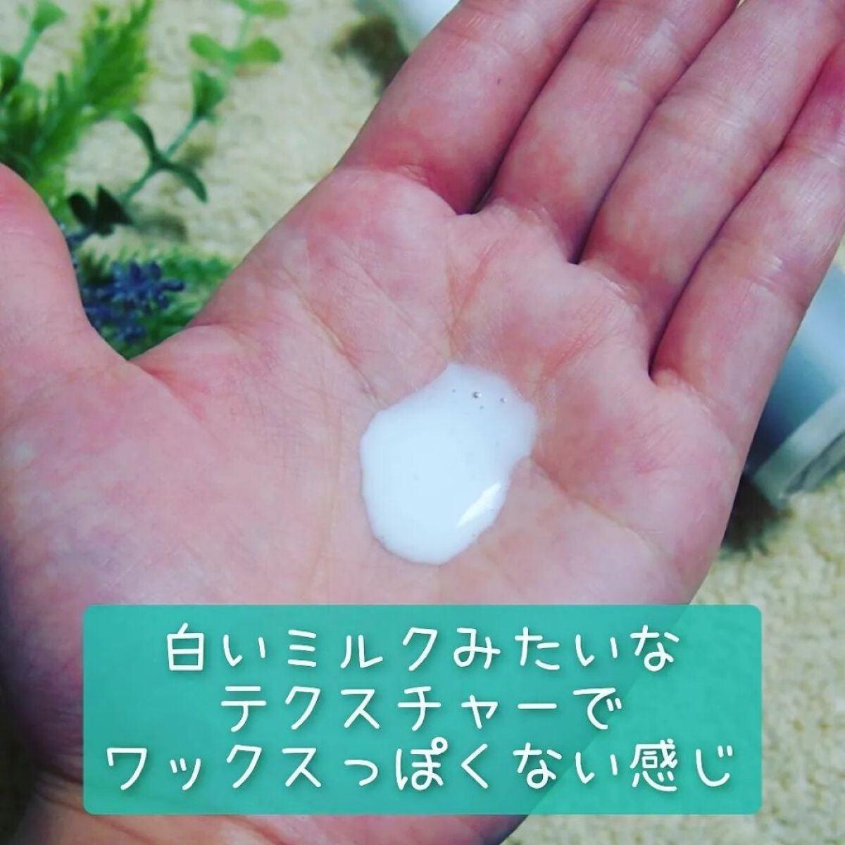 Tricos Oganic wax/Tricos/ヘアワックス・クリームを使ったクチコミ(3枚目)