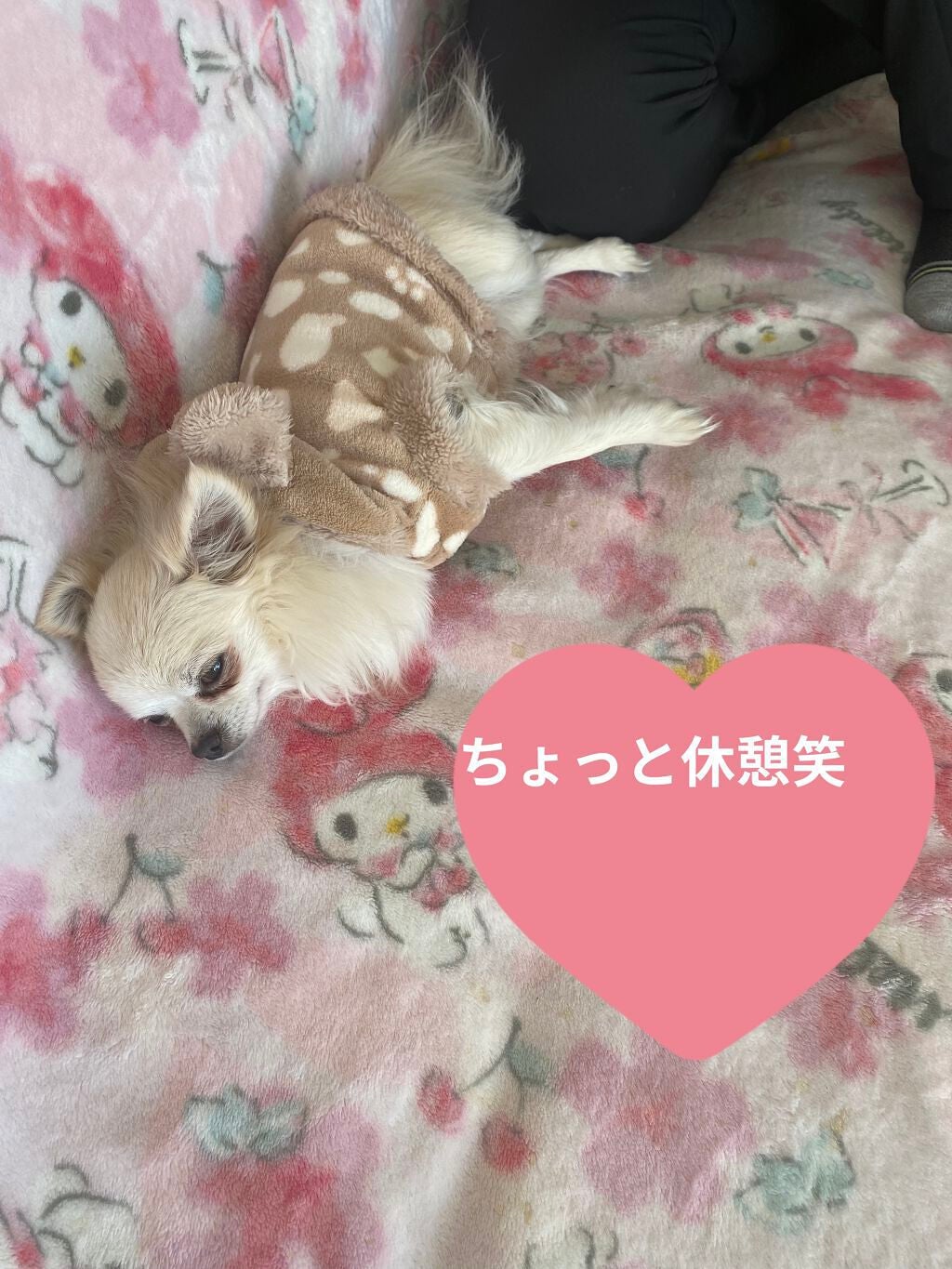 ぷぅぴぃ《紫コス部💜💗》 on LIPS 「#Myコスメ収納パート③雑すぎる私のコスメ収納🤣コスメがまだま..」(7枚目)