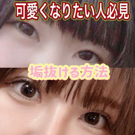 ã䜿ã£ãã¯ãã³ãïŒ1æç®ïŒ