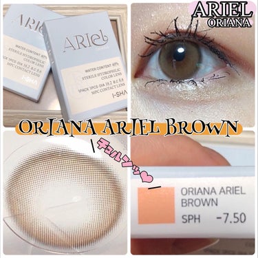 蜜のレンズ Ariel 1dayのクチコミ「《商品名》
蜜のレンズ
ARIEL ORIANA
ORIANA ARIEL BROWN

《商.....」（1枚目）