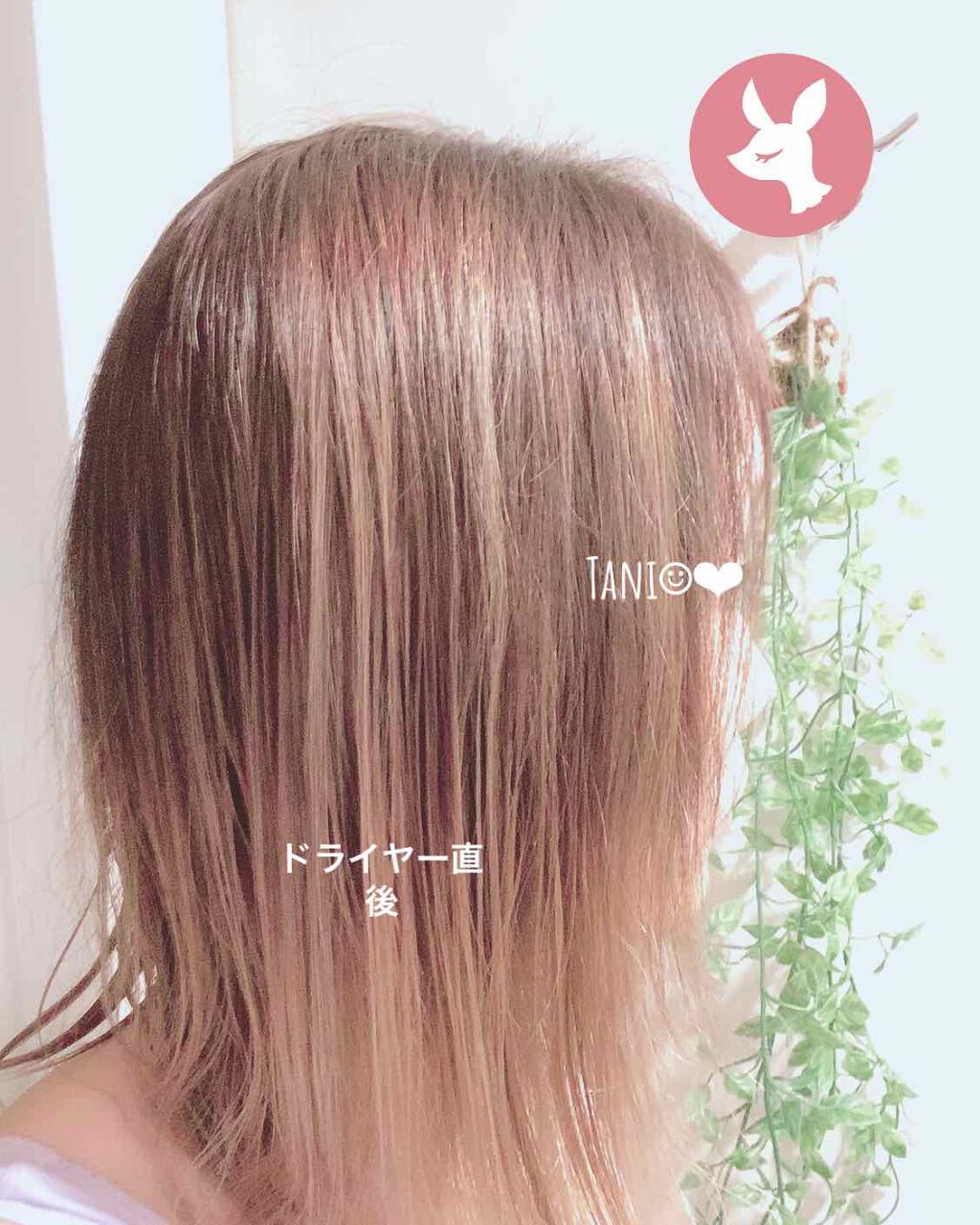 ミラクルユー/シャンプー＆トリートメント/ダイアン/市販シャンプーを使ったクチコミ（2枚目）