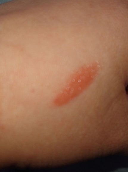 メルティールミナスルージュ(ティントタイプ)/キャンメイク/リップティントを使ったクチコミ(2枚目)