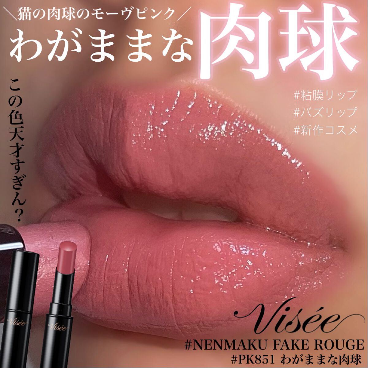 ネンマクフェイク ルージュ/Visée/口紅を使ったクチコミ(1枚目)