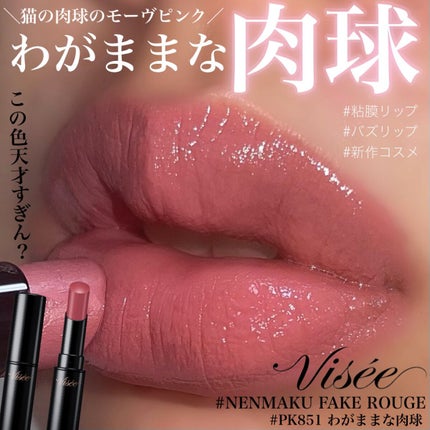 ネンマクフェイク ルージュ/Visée/口紅を使ったクチコミ(1枚目)