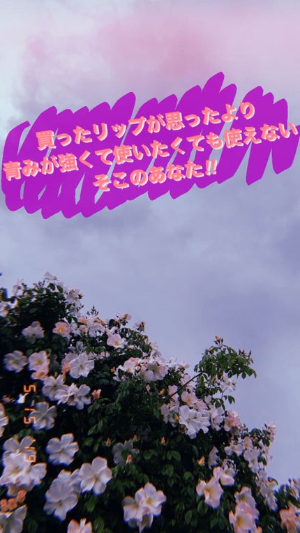 ステイオンバームルージュ/キャンメイク/口紅を使ったクチコミ(1枚目)