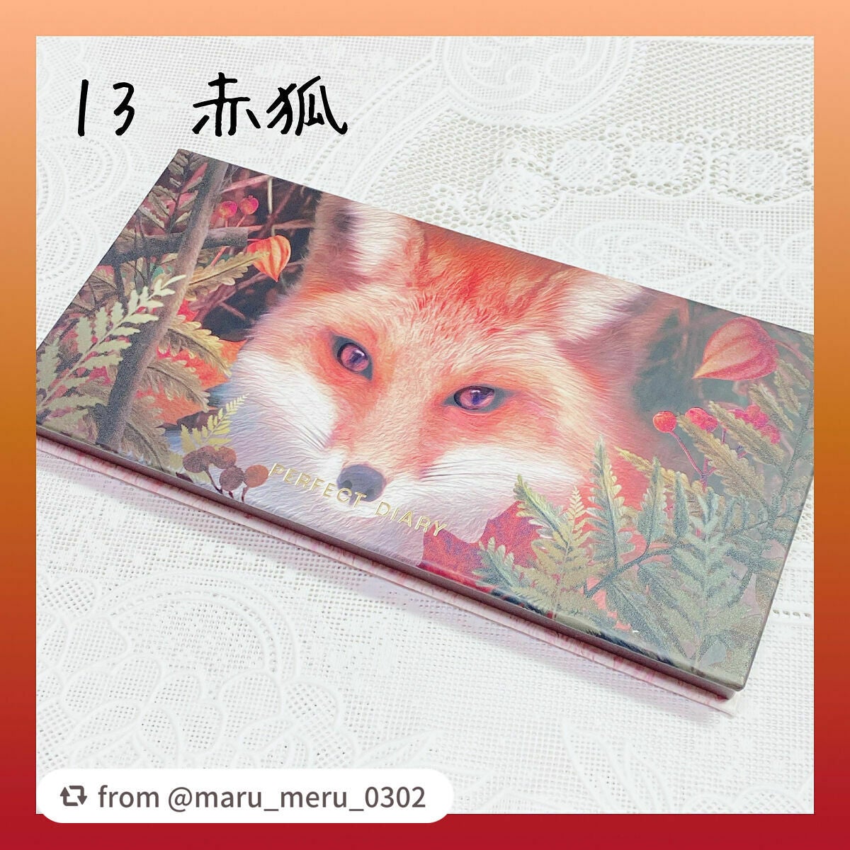 エクスプローラ12色 動物アイシャドウパレット/PERFECT DIARY/アイシャドウパレットを使ったクチコミ(6枚目)