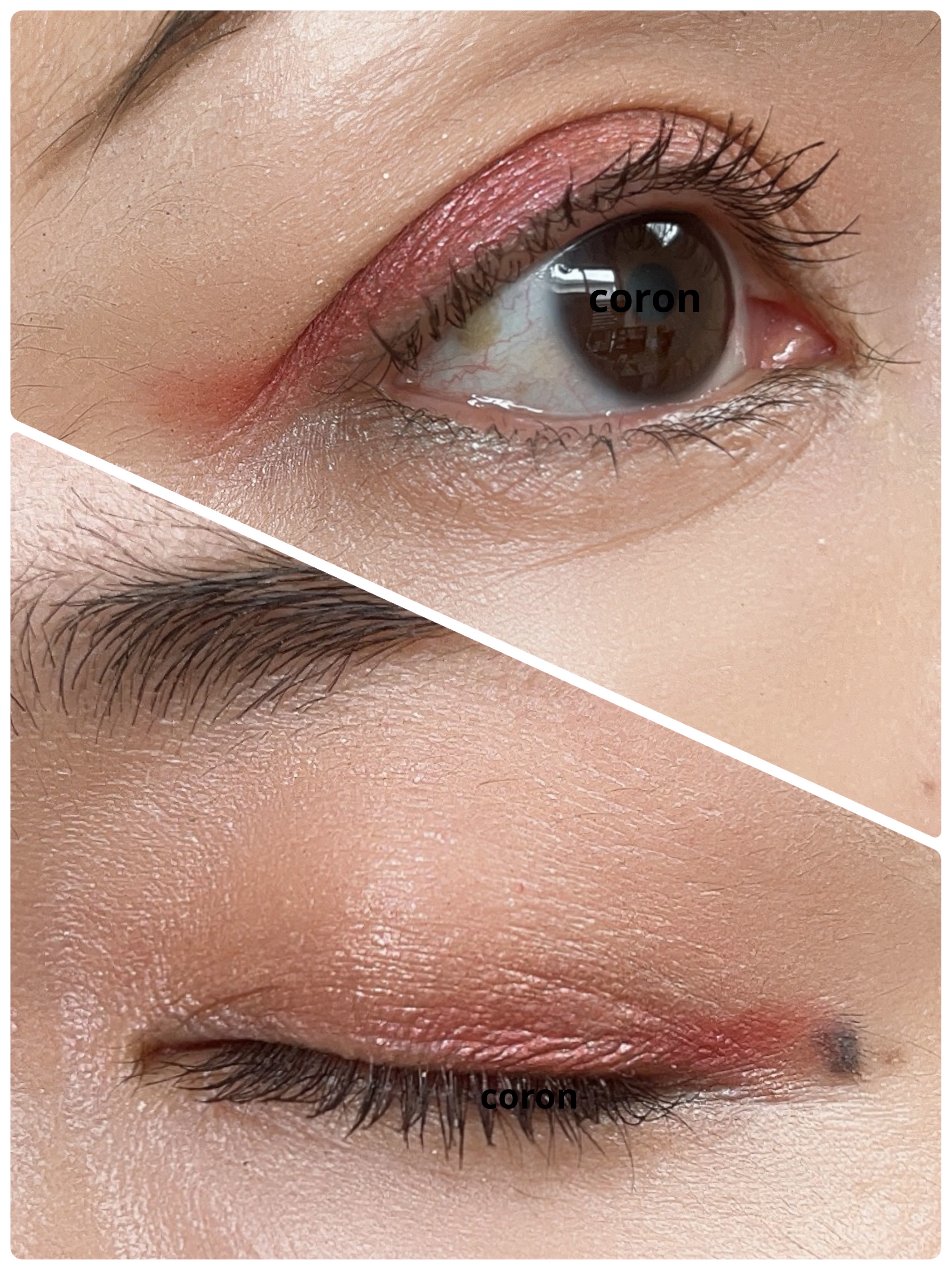 アイカラーレーション/LUNASOL/アイシャドウパレットを使ったクチコミ（2枚目）