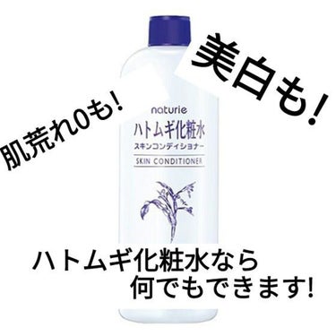 ハトムギ化粧水(ナチュリエ スキンコンディショナー R )/ナチュリエ/化粧水を使ったクチコミ（1枚目）