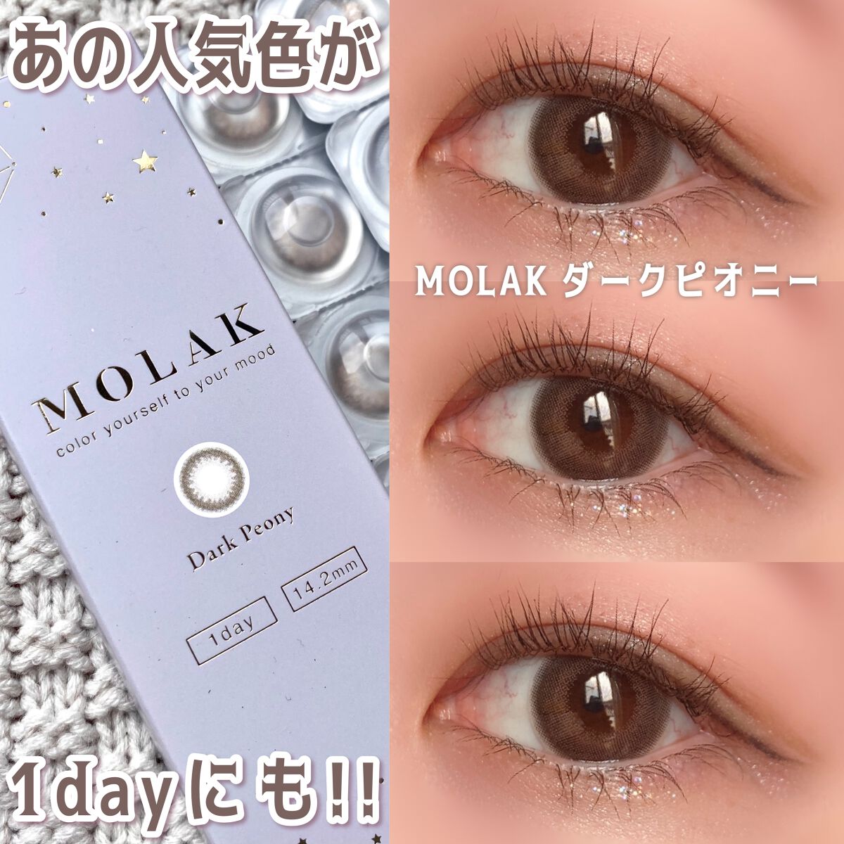 MOLAK 1day ダークピオニー/MOLAK/ワンデー（１DAY）カラコンを使ったクチコミ（1枚目）