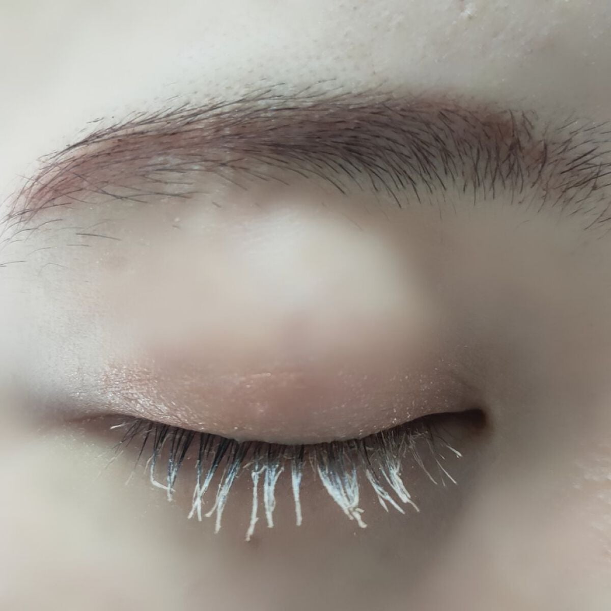 シャドーカスタマイズ/MAJOLICA MAJORCA/単色アイシャドウを使ったクチコミ(3枚目)