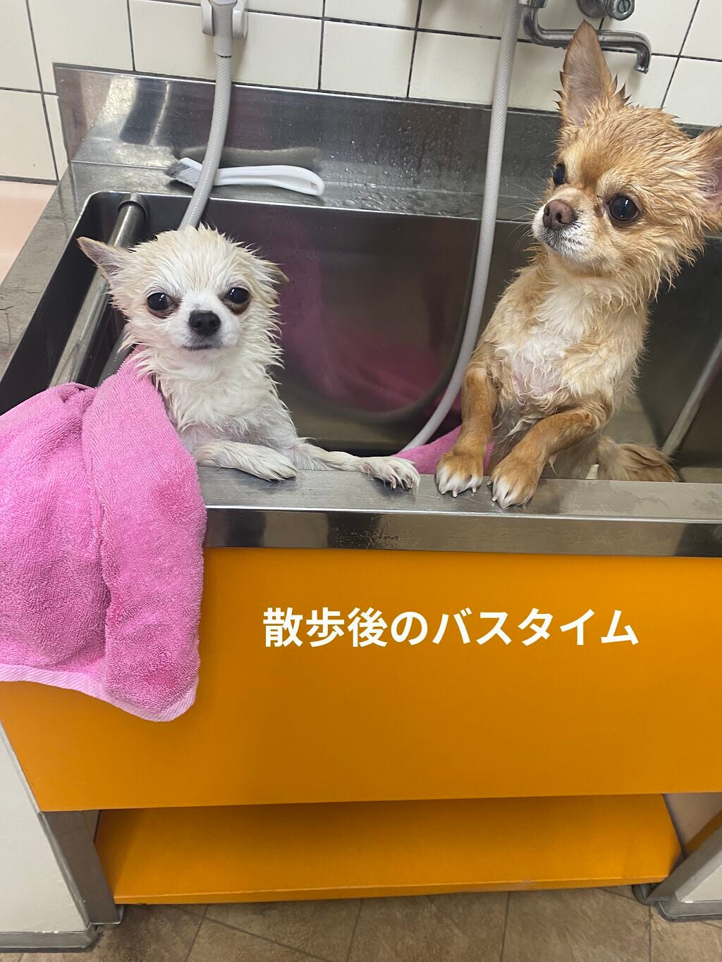 ワセリンHG チューブ (化粧用油)/大洋製薬/ボディクリームを使ったクチコミ(9枚目)