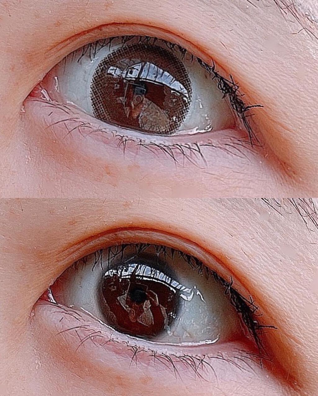 エバーカラーワンデー ナチュラル/エバーカラー/ワンデー(1DAY)カラコンを使ったクチコミ(1枚目)