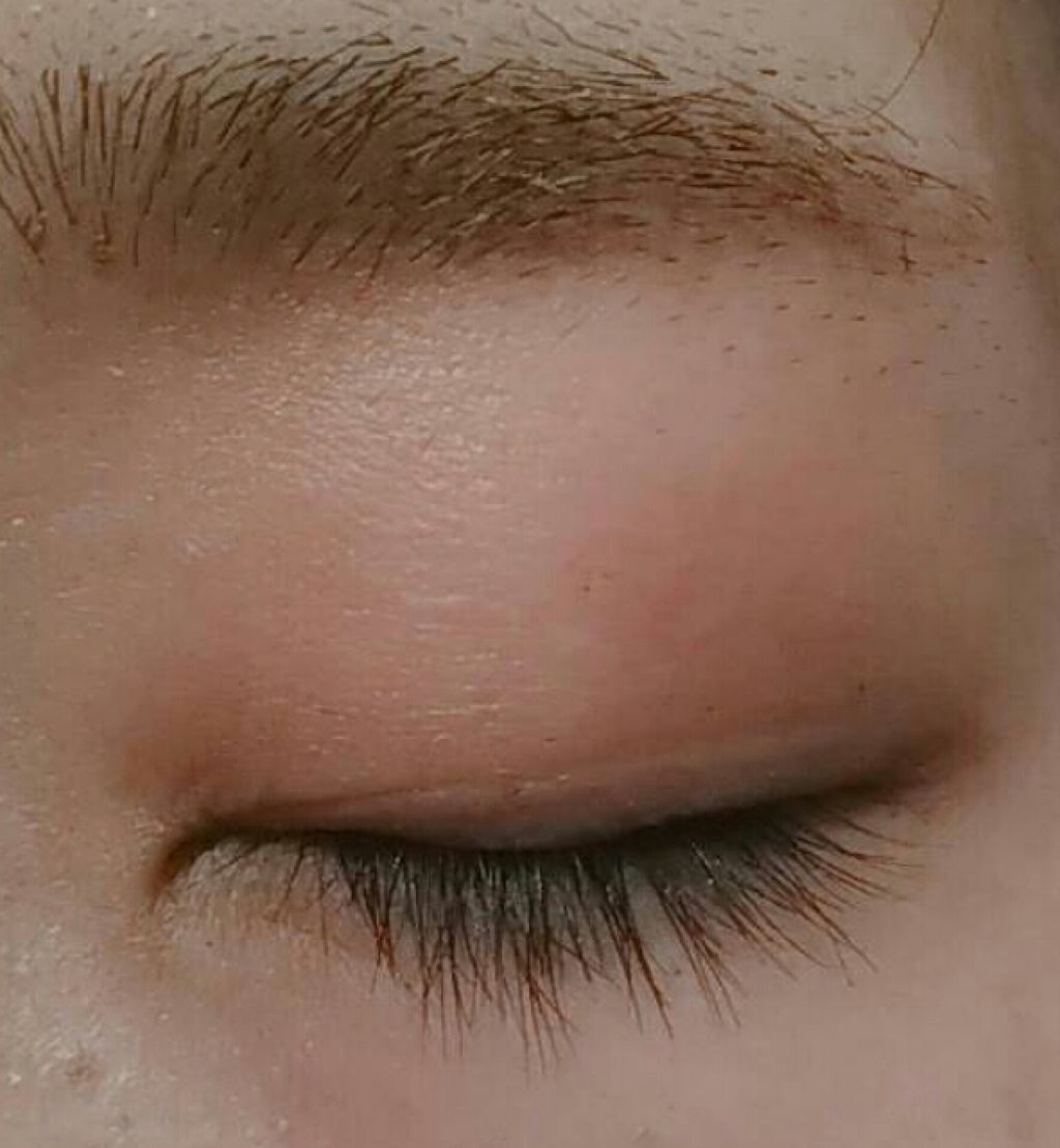 MP アニマル アイブロウマスカラ LB/Mio Piccolo/眉マスカラを使ったクチコミ（2枚目）