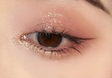 エクスプローラ12色 動物アイシャドウパレット/PERFECT DIARY/アイシャドウパレットを使ったクチコミ(3枚目)