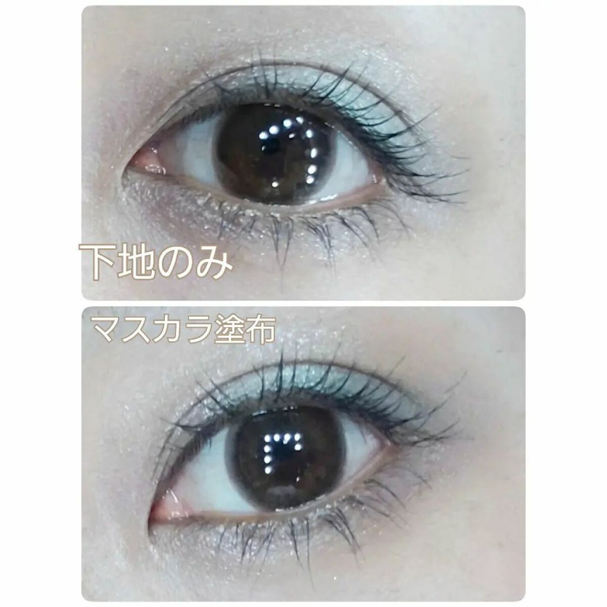 エテュセ アイエディション（マスカラベース）ウォームスタイル/ettusais/マスカラ下地を使ったクチコミ（3枚目）