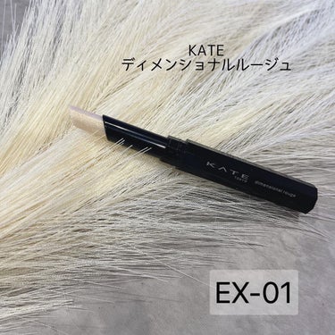 ディメンショナルルージュ EX-1/KATE/口紅を使ったクチコミ（1枚目）