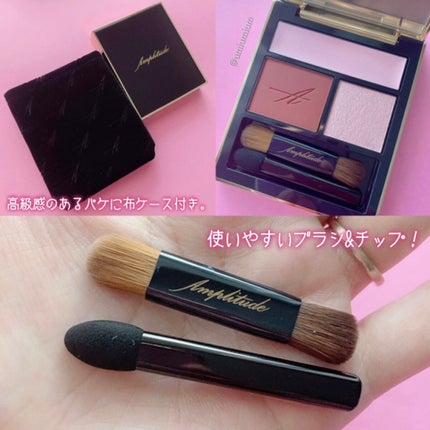 コンスピキュアス アイズ/Amplitude/アイシャドウパレットを使ったクチコミ(4枚目)