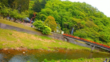 seiko_official on LIPS 「日本一【藤まつり】岡山県瀬戸内市和気町#おかやま#岡山県藤は四..」(10枚目)