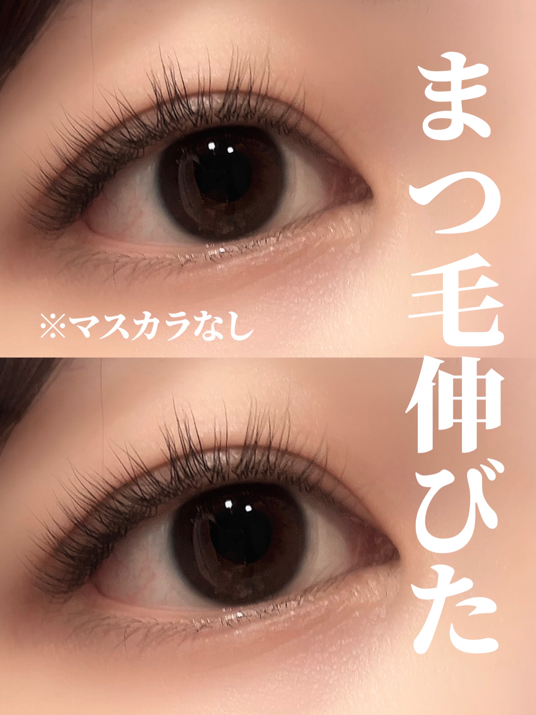 ラッシュジェリードロップ　ＥＸ/マジョリカ マジョルカ/まつげ美容液を使ったクチコミ（1枚目）