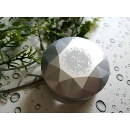 UVミネラルパウダー/Blanc Peau/ルースパウダーを使ったクチコミ(1枚目)