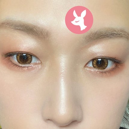 【旧】サンク クルール クチュール/Dior/アイシャドウパレットを使ったクチコミ(7枚目)