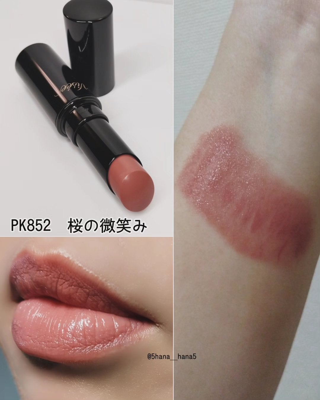 ネンマクフェイク ルージュ/Visée/口紅を使ったクチコミ(3枚目)