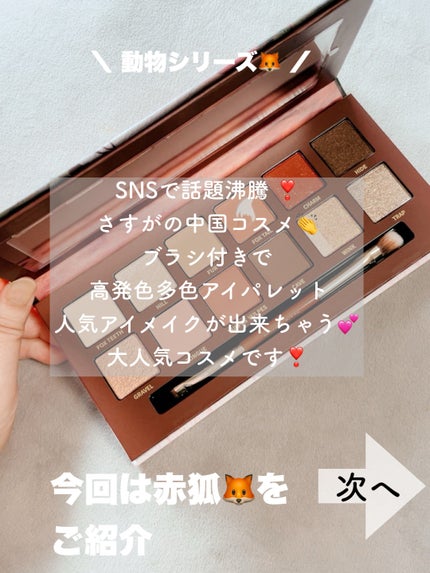 エクスプローラ12色 動物アイシャドウパレット/PERFECT DIARY/アイシャドウパレットを使ったクチコミ(2枚目)