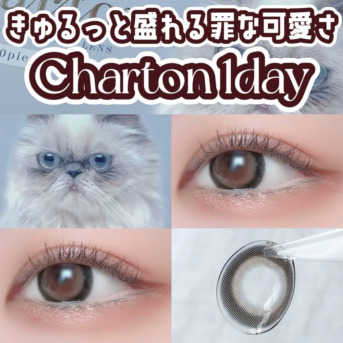 「密着アイライナー」ショート筆リキッド/デジャヴュ/リキッドアイライナーを使ったクチコミ（1枚目）