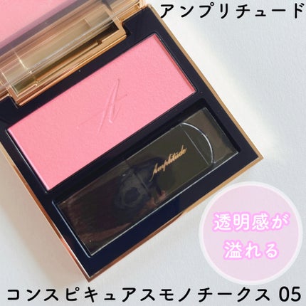 コンスピキュアス モノチークス/Amplitude/パウダーチークを使ったクチコミ(1枚目)